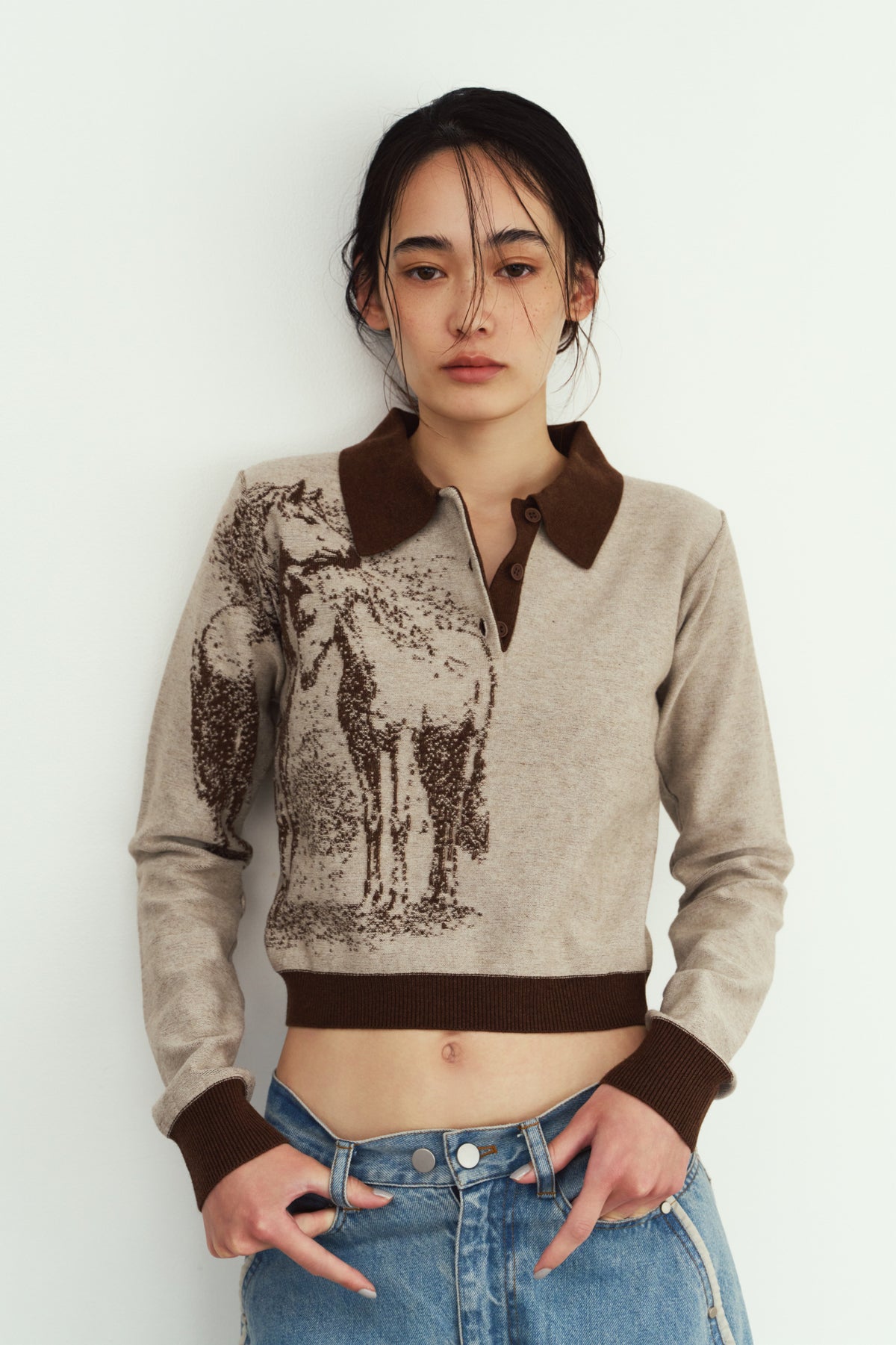jacquard polo knit/brown