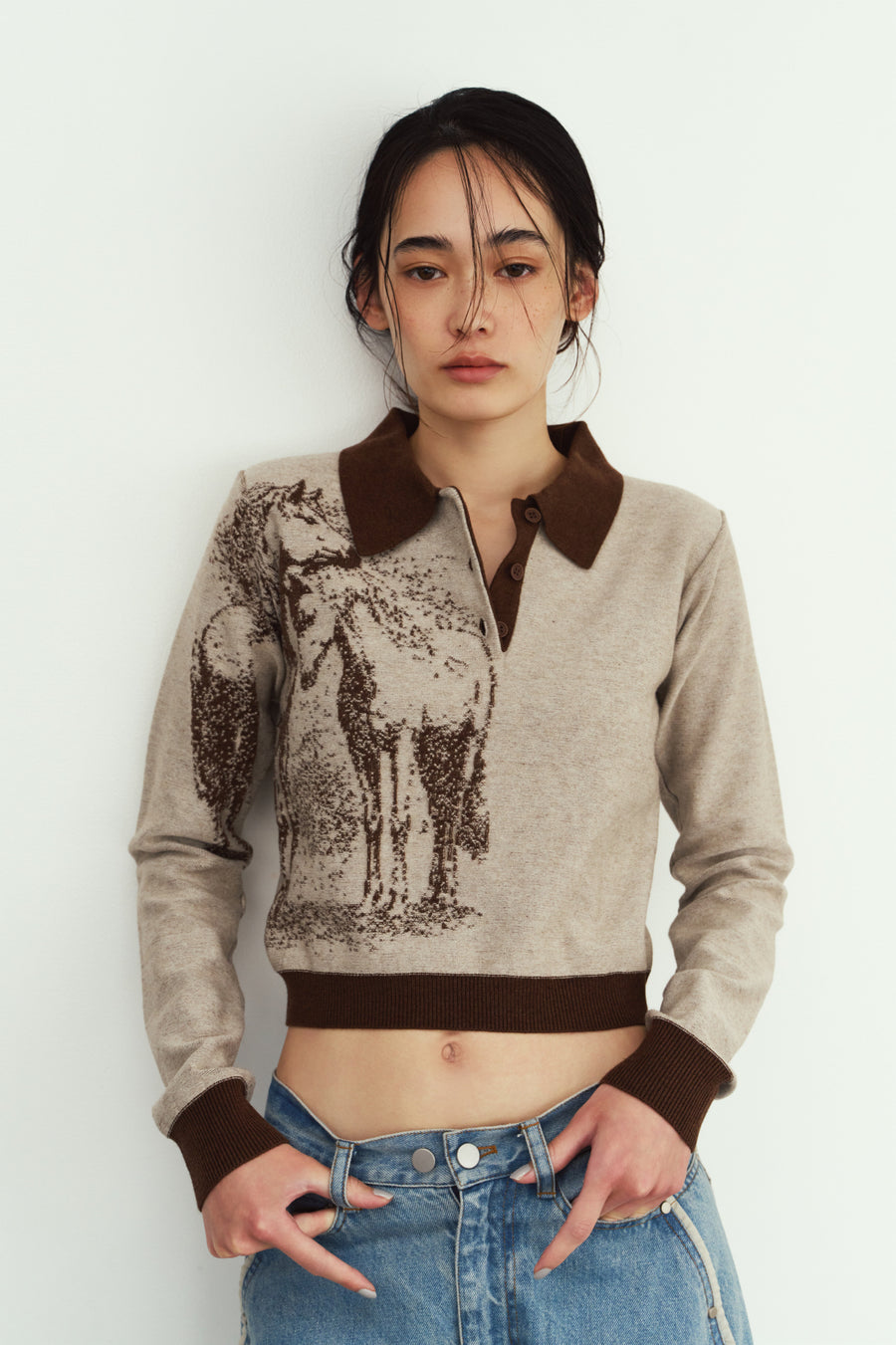 jacquard polo knit/brown