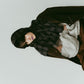 shirt wrap denim pants/brown - KNUTH MARF